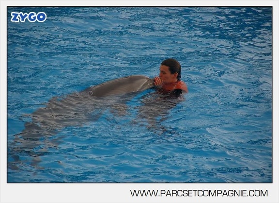 Marineland - Dauphins - Spectacle 14h45 - 0016