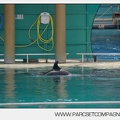Marineland - bebe orque - 3598