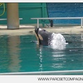 Marineland - bebe orque - 3599