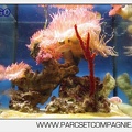 Marineland - Aquariums Tropicaux - 5003