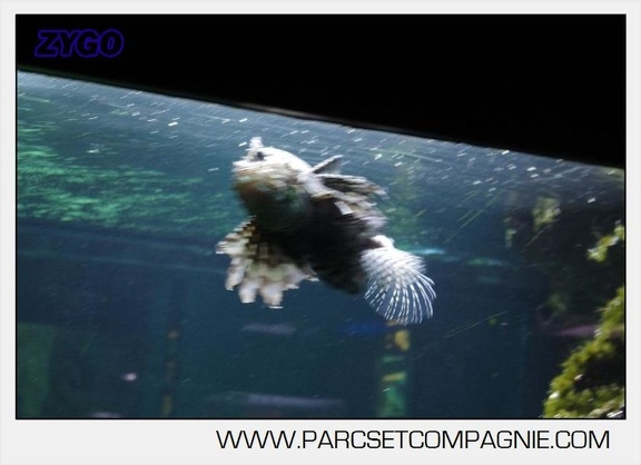Marineland - Aquariums Tropicaux - 5008