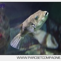Marineland - Aquariums Tropicaux - 5015