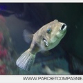 Marineland - Aquariums Tropicaux - 5016