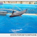 Marineland - Dauphins - Spectacle 17h00 - 5124
