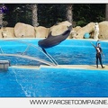 Marineland - Dauphins - Spectacle 17h00 - 5126