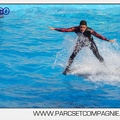 Marineland - Dauphins - Spectacle 17h00 - 5128