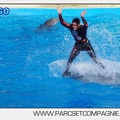 Marineland - Dauphins - Spectacle 17h00 - 5129