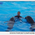Marineland - Dauphins - Spectacle 17h00 - 5133