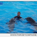 Marineland - Dauphins - Spectacle 17h00 - 5134