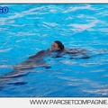 Marineland - Dauphins - Spectacle 17h00 - 5135