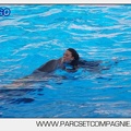 Marineland - Dauphins - Spectacle 17h00 - 5136
