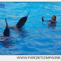Marineland - Dauphins - Spectacle 17h00 - 5139