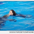 Marineland - Dauphins - Spectacle 17h00 - 5141