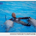 Marineland - Dauphins - Spectacle 17h00 - 5143