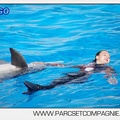Marineland - Dauphins - Spectacle 17h00 - 5145