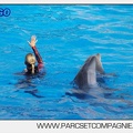 Marineland - Dauphins - Spectacle 17h00 - 5147