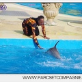 Marineland - Dauphins - Spectacle 17h00 - 5149