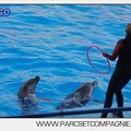 Marineland - Dauphins - Spectacle 17h00 - 5153