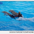 Marineland - Dauphins - Spectacle 17h00 - 5154