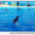 Marineland - Dauphins - Spectacle 17h00 - 5156
