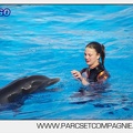 Marineland - Dauphins - Spectacle 17h00 - 5157