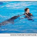 Marineland - Dauphins - Spectacle 17h00 - 5158