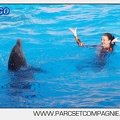 Marineland - Dauphins - Spectacle 17h00 - 5160