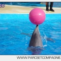 Marineland - Dauphins - Spectacle 17h00 - 5164