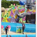 Marineland - Dauphins - Spectacle 17h00 - 5167