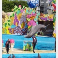 Marineland - Dauphins - Spectacle 17h00 - 5168