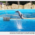 Marineland - Dauphins - Spectacle 17h00 - 5176