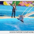 Marineland - Dauphins - Spectacle 17h00 - 5182