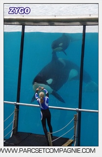 Marineland - Orques - Spectacle 18h15 - 5474