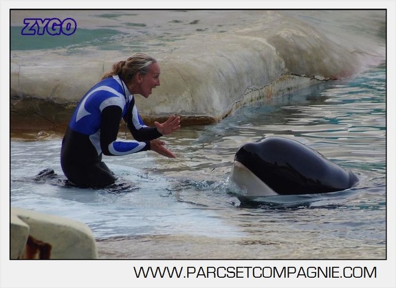 Marineland - Orques - Spectacle 18h15 - 5480