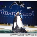Marineland_-_Orques_-_spectacle_15h15_-_5385.jpg