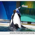 Marineland - Orques - spectacle 15h15 - 5386