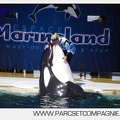 Marineland - Orques - spectacle 15h15 - 5389