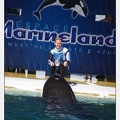 Marineland - Orques - spectacle 15h15 - 5390