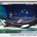 Marineland - Orques - spectacle 15h15 - 5392