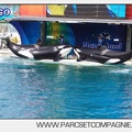 Marineland - Orques - spectacle 15h15 - 5397