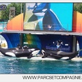 Marineland - Orques - spectacle 15h15 - 5400