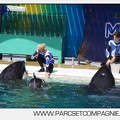Marineland - Orques - spectacle 15h15 - 5401