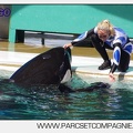 Marineland - Orques - spectacle 15h15 - 5402