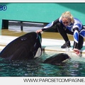 Marineland - Orques - spectacle 15h15 - 5404