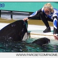 Marineland - Orques - spectacle 15h15 - 5405