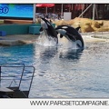 Marineland - Orques - spectacle 15h15 - 5406