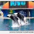 Marineland - Orques - spectacle 15h15 - 5407