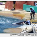 Marineland - Orques - spectacle 15h15 - 5409