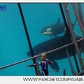 Marineland - Orques - spectacle 15h15 - 5415