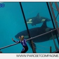 Marineland - Orques - spectacle 15h15 - 5416